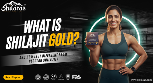 What Is Shilajit Gold? And How Is It Different from Regular Shilajit?