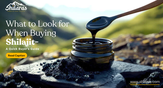 What to Look for When Buying Shilajit – A Quick Buyer’s Guide